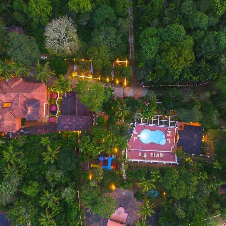 Ushasree Wayanad Heritage Premium Pool Resort By Voye Homes Ambalavayal Kültér fotó